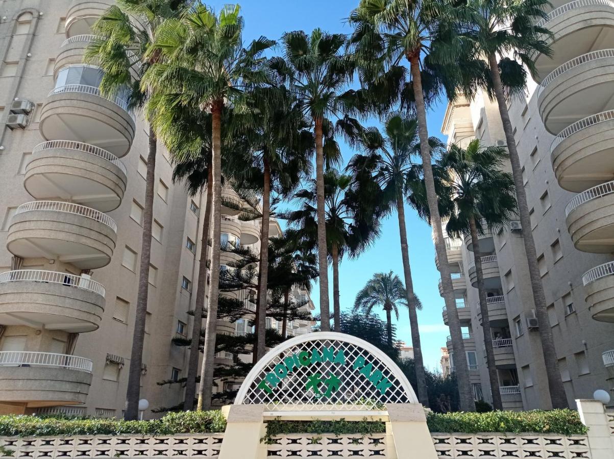 Tropicana Park Solo Familias Serviplaya Gandía Exterior photo